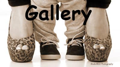 Gallery Gallery