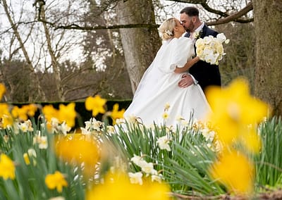 Bride and groom kissing, daffodils in front of them